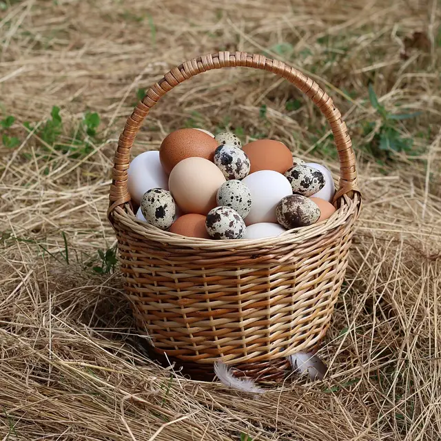 Canasta con huevos de granja